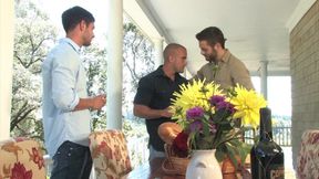 The Tommy Defendi Anthology