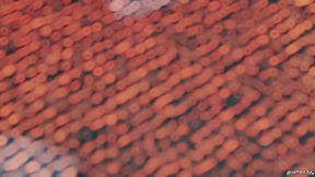 Beleze ft. vXVictoriaXv