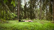 Fit college hunk fucking fleshlight in the forest and eats own cum