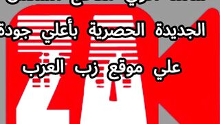 نسوانجي ديوث مصري جايب فحل ينيك مرته وهو بيضرب عشرة عليه - سكس العرب