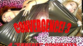 Convergence 3: A "Sphere!" Convexity (starring Fina, Onyx & Honeybee) (MP4)