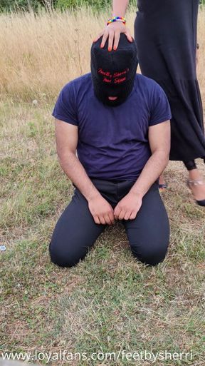 Collaring up my property