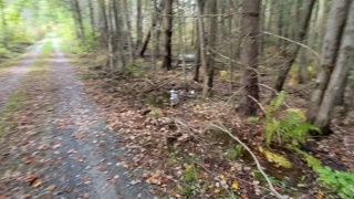 Walking outside and getting fucked in the middle of the road!