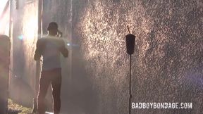 A Handsome New Plaything