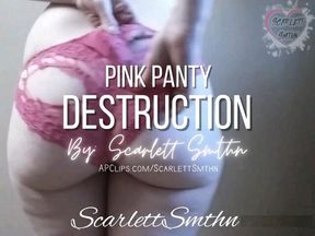 Pink Panty Destruction