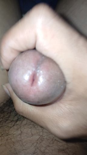Rocking a Cock While Standing up While Sanjay Sexy