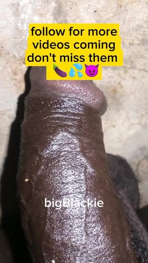 Bigblackie BBC Solo Stroking New Video August 25