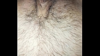 Sveltina italiana