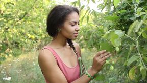 In the Countryside