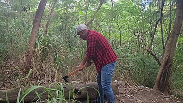 Tomando Tora do Lenhador