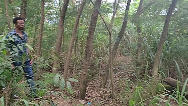 Tomando Tora do Lenhador