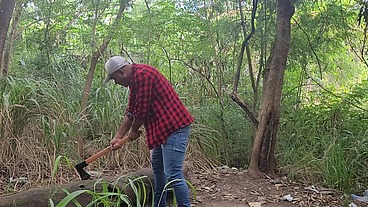 Tomando Tora do Lenhador