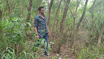 Tomando Tora do Lenhador