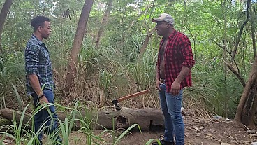 Tomando Tora do Lenhador