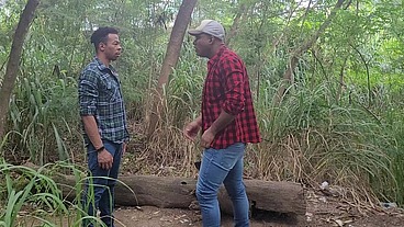 Tomando Tora do Lenhador