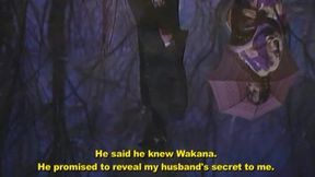 The Secret In The Attic