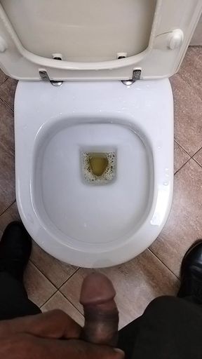 Pissing-in-toilet-