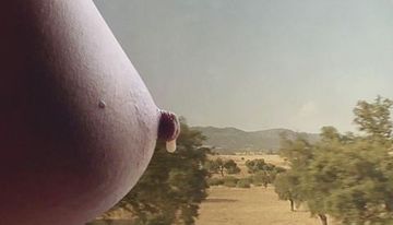 Lactating Tits