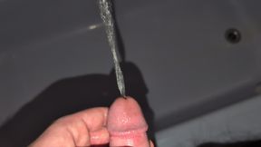 Cock pissing in the bathtub