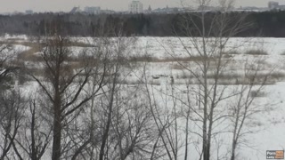 Public Blowjob in Winter Park - Letty Black