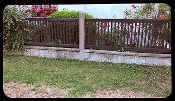 Petra's Thrilling Threesome Adventure online