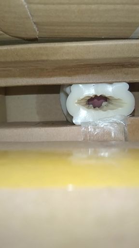 Cum inside homemade silicone pussy 2