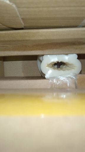 Cum inside homemade silicone pussy 2