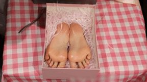 GG52 - Enjoy a pair of beautiful bare feet like a gift, packaged in a box.