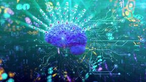 Breaking Brain (Part One of Four)