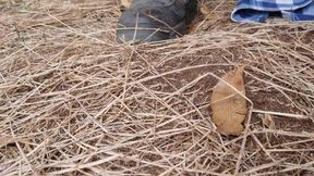 Revvheadone balls stretched heavily with thick cock rings