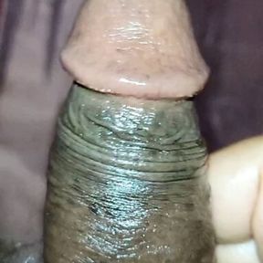 Asok9332 penis