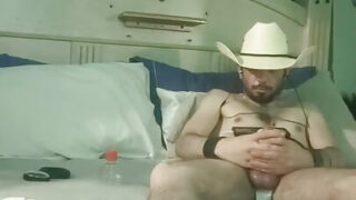 Masturbare, ejaculare, masturbare, păros, mic – videoclip solo de casă cu o fată gay americană futută în cur