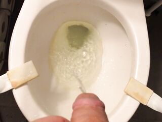 Vigour Pissing in the water closet after 2 beers