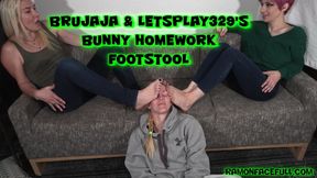 Brujaja and Letsplay329's Bunny Homework Footstool!