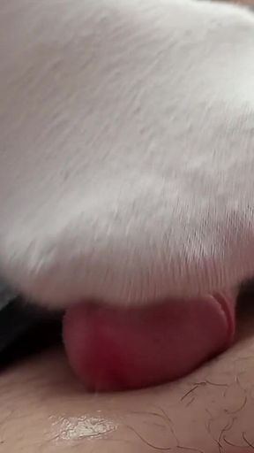 Try Not to Cum Footjob Challenge - Pantyhose, Sockjob, Barefoot Compilation, Timer, Edging