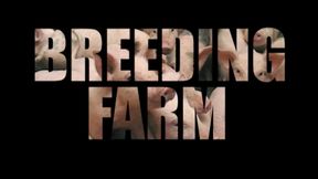 Breeding Farm (Part 4)