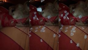 seduire moi touchez-moi mais laissez-moi profiter... je serai ta salope