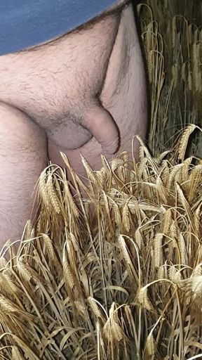 I'm walking around naked at night in neighborhood