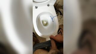 Morning glory and rock hard urinate in rest room (verified user)