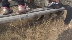 Milf brought in the woods and fucked by a bunch of dirty pigs