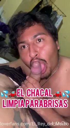 ??El limpia parabrisas??