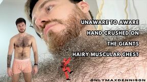 Unaware to aware hand crush on the giants hairy chest