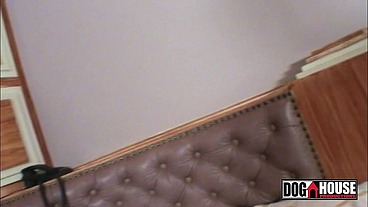 Fodendo o rabo da estrela pornô - Anita Ferrari - Mad Dog