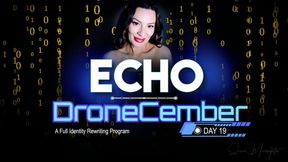 Day 19: Voice of Control