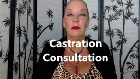 Castration Consultation HD (WMV)