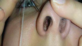 Nose Piercing WMV