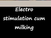 Electro stimulation cum milking