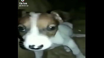 se &eacute_ gay mano?