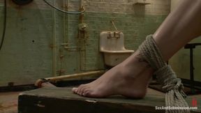 Trained and Degraded Pornstar