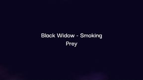 Black Widow's Smoke Prey